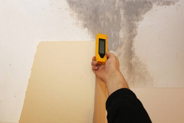 Best Mold Odor Removal Services  in Quinlan, TX